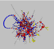 Statistical Analysis
