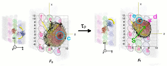 Molecular motor powerstroke
